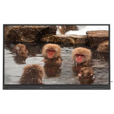 صفحه نمایش تلویزیون 98 اینچی LED با نمایشگاه بی سیم صفحه سفید تعاملی HDMI