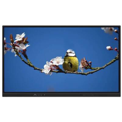 EDLA Smart Touch Monitor 65 Inch Multi-OS پشتیبانی برای تدریس و جلسات