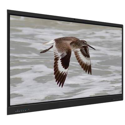 تخته سفید تعاملی Iboard اندروید 15 EDLA با پنل 65 اینچی برای آموزش الکترونیکی