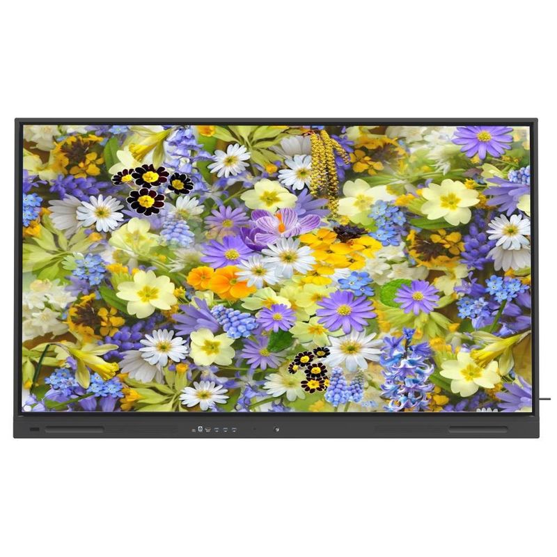 صفحه هوشمند LCD تجربه Chromebook MAC Linux Windows را با خروجی HDMI USB VGA برای صفحه 65 75 86 اینچی ارتقا دهید