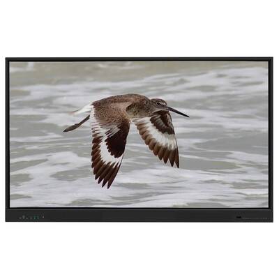 تخته سفید تعاملی Iboard اندروید 15 EDLA با پنل 65 اینچی برای آموزش الکترونیکی