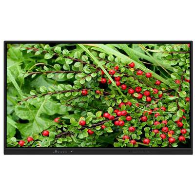 تخته سفید تعاملی 75 اینچی OEM با بلندگو برای آموزش خانگی و جلسات زوم